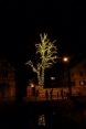 Weihnachts-Baum in Bärnsdorf