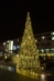 Weihnachtsbaum in Dresden, Wilsdruffer Straße